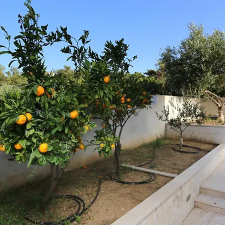 By The Sea Zecevo Rtic, - 10333 Apartment Rogoznica (Sibenik-Knin)